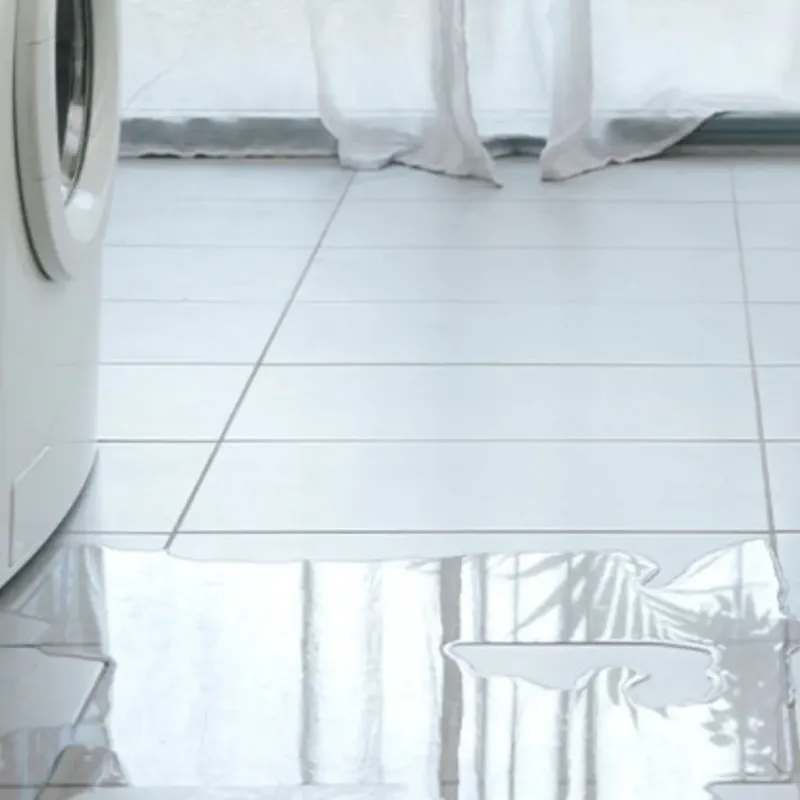Appliance Leak Cleanup in Mount Vernon, AL
