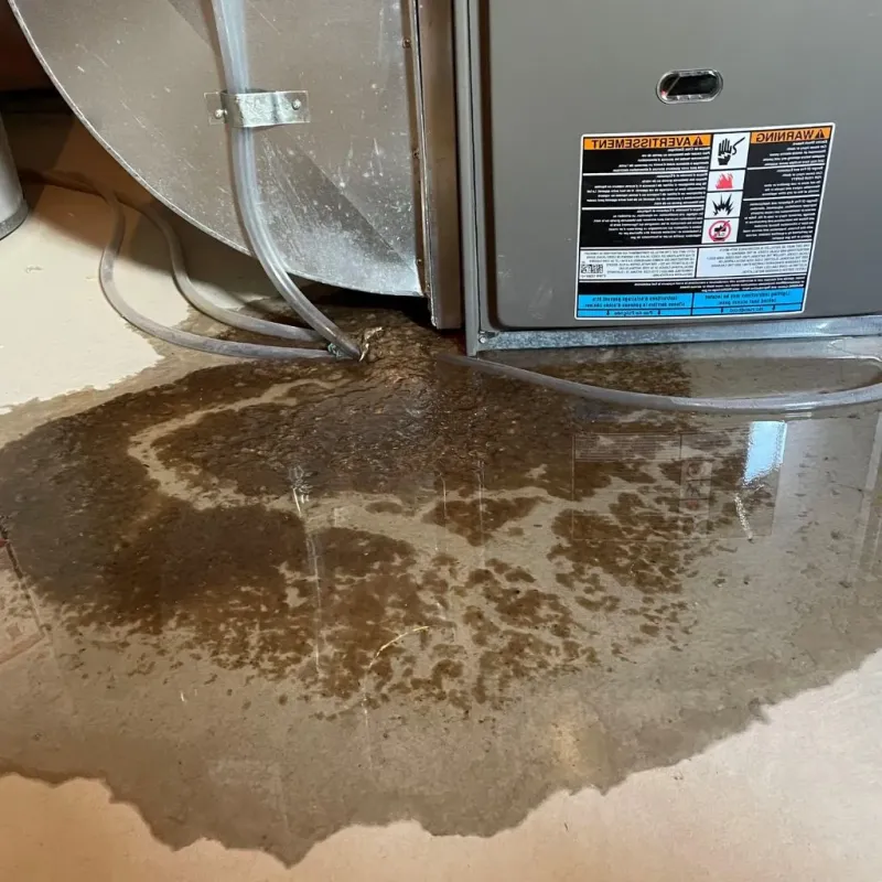 Pipe Burst and Leak Restoration in Mount Vernon, AL