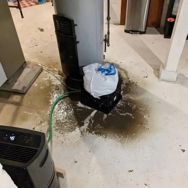 Sewage Backup Cleanup Service in Mount Vernon, AL